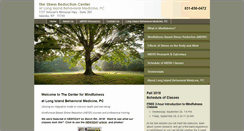 Desktop Screenshot of longislandstressreduction.com